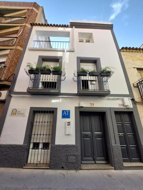 Apartamentos San Salvador Parking Gratis Mérida Exteriör bild